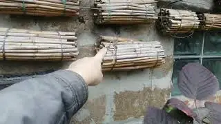 И снова об осмеи. Ответ 