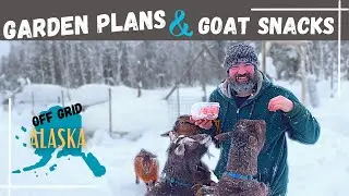 ALASKANS DREAM OF SUMMER IN FEBRUARY... HOMESTEADING ALASKA