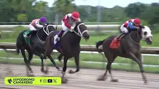 CARRERA 6 - 25/OCTUBRE/2025 (GYPSY CANDY)