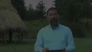 Evaluación y retroalimentación