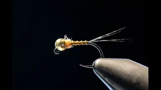 Quick & Simple Fly