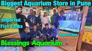 Blessings Aquarium | Biggest Aquarium Store in Pune