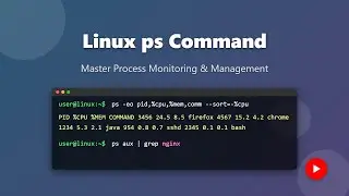 Linux Process Management: Mastering the 'ps' Command for Beginners