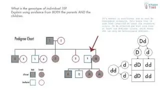 Exam Practice (5/5) | Biology - NCEA Level 1 Science | StudyTime NZ