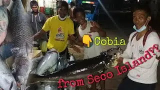 Seco Island/CarmenBank Reef || Spearfishing || Episode 1 Part 2