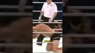 How GOOD was Mark Kerr Actually?