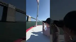 Sailing under the San Francisco&ndash;Oakland Bay Bridge