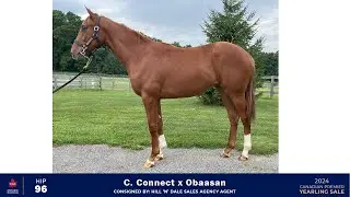 CTHS-ON 2024 - Hip 96 - c. Connect x Obaasan