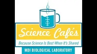 MDI Science Caf&eacute; -- Slowing Aging to Prevent Age-Related Disease and Decline