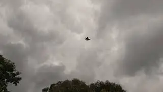 F35 Lightning Flyover at Adelaide 500