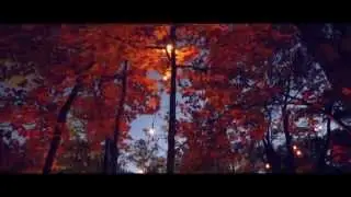 Foresta Lumina | Coaticook | Shift Vision