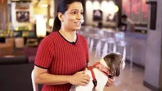 Shelter Dogs Adopted Through Foster Program at Aloft Orlando Downtown Hotel | #PetAllianceGO