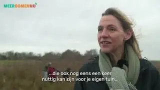 Gedeputeerde Mirjam Sterk steekt handen uit de mouwen voor Meer Bomen Nu