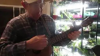 Baby I Love It. Оригинальная песня. Баритоновая укулеле.