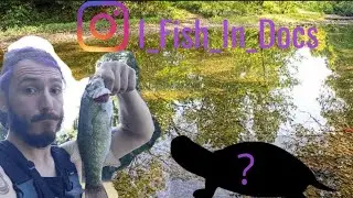 Micro Fishing The Normans Kill
