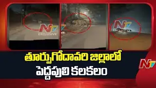 Tiger Spotted in East Godavari, Locals Panic | NTV Telugu