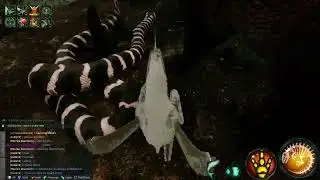 Beasts of Bermuda  early PALEOPHIS  video footage!