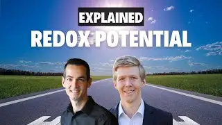 Redox Potential | THE BASICS 9 | QuantumHealthTV