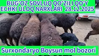 Qo'zili qo'y, bug‘oz sovluq echki uloq narxlari 28.12.2025 Surxondaryo viloyati Boysun mol bozori