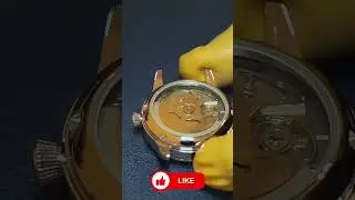 Lets Build a Ladies Automatic Day Date Watch #nh35 #nh36 #seiko #watch #watches #automaticwatch