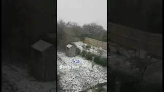 Leeds Snow Events: The Icy Insanity of 2024