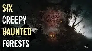 6 Most Haunted Forests You Should NEVER Visit