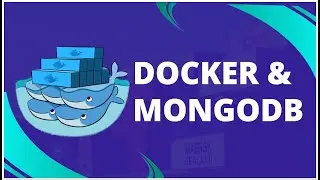 Docker & Mongodb | mongo image