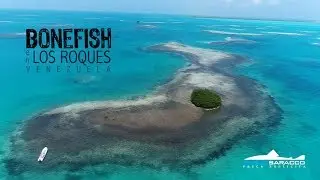 Bonefish en Los Roques (parte 1)