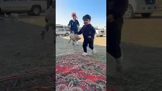 صدمني امير جا يركض وفي يده دجاجة😭😭😭😭 #explore #اكسبلور #funny #امير #عائلة_ميرو
