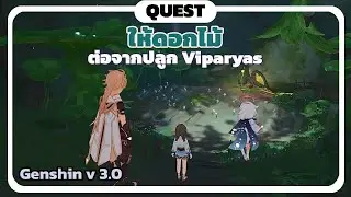 ให้ดอกไม้ (ต่อจากปลูก Viparyas) World Quest - Genshin Impact 3.0