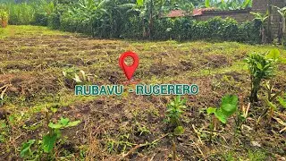 DEAL🚨: Gifite 350m&sup2; #IKIBANZA Cyiza KIGURISHWA hano RUBAVU - RUGERERO | muri R1 Ahantu Hatuwe