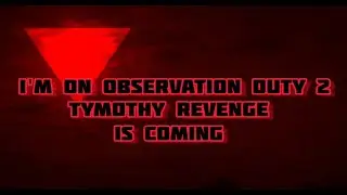 I'm On Observation Duty 2 Timothy's Revenge (music video)