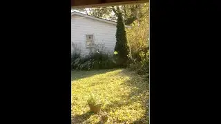 Counting Leaves:  *47seconds*  Mild outbursts of leaves falling in the backyard.  :47 Opens Friday