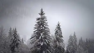 snow fall video#snowfall #status #short