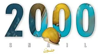 ارتفاع درجة حرارة مياه الحوض وموت الحلزون وكيف أحصل على 2000 حلزون |カタツムリ