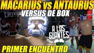 🔴ANTAURUS vs MACARIUS🔵en VERSUS de BOX |🥊 EVENTO 