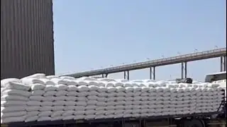 زيارتنا لشركة الحبوب الوطنية بمدينة الملك عبدالله الاقتصادية في رابغ ١٤٤٦/٣/١٥هـ