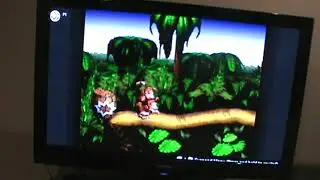 Donkey Kong COuntry epsiode 2 two apes kicking a beaviers ass