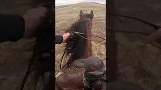Going WIDE OPEN On A Fast Horse!!!#horse #ranching #thoroughbred #horseriding