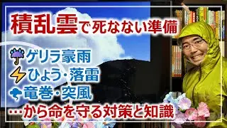 積乱雲から命を守る！ゲリラ豪雨・落雷・ひょう・竜巻で死なない対策と知識［そなえるTV・高荷智也］