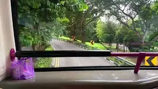 SBS transit service 161 on  SBS3161A