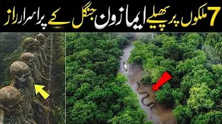Most Amazing Facts About the Amazon Rainforest|Amazon Jungle ke Purasrar Raaz #videos 