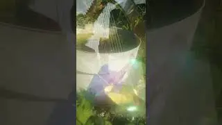 THE LITTLE FOUNTAIN ⛲ by SAMUEL O. PRATT 🌻 (Blevins 30 harp)