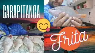 Preparando umas Carapitangas e filé de baiacu frito... PEIXE FRITO é    Showwww!!!