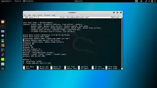 Changing DNS Servers [KALI LINUX]