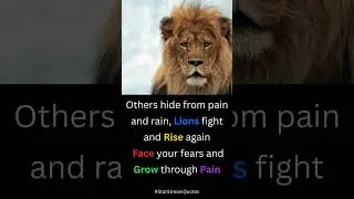 Why Lions Fight The Storm HEAD ON While Others Run Away!