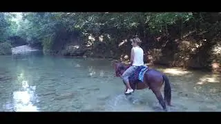 SALTO DEL LIM&Oacute;N 2019 🐴 - La Cascada del Lim&oacute;n - SAMANA REP&Uacute;BLICA DOMINICANA - Waterfall Excursion