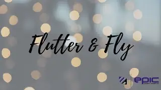 Flutter & Fly - Epic Dance Complex