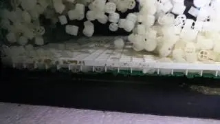 2600 litres Tanganyika décantation état des lieux après 34 mois