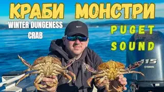 КРАБИ МОНСТРИ | КАМБАЛА | Catch and Cook | WINTER DUNGENESS CRAB | PUGET SOUND | Washington Fishing
